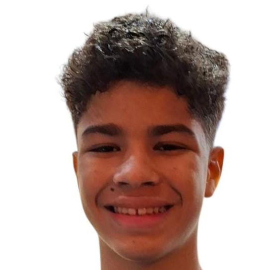 Matheus Santos Gomes Figueiredo