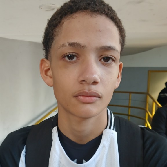 Leandro Henrique Ferreira Brandao
