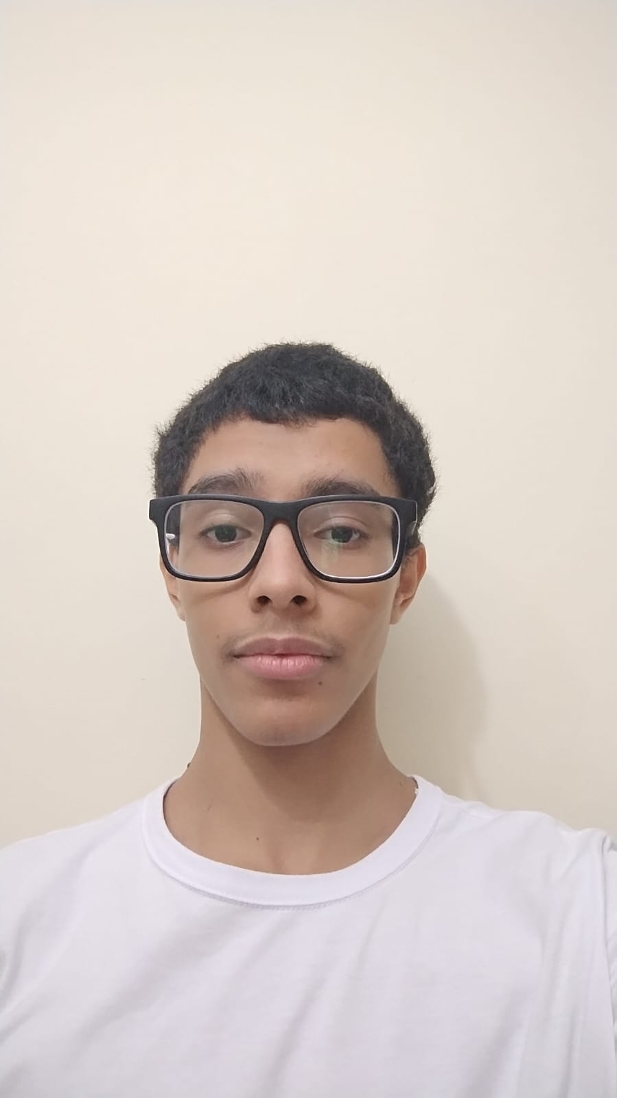 Davi Lorenzo Torres Ferreira 