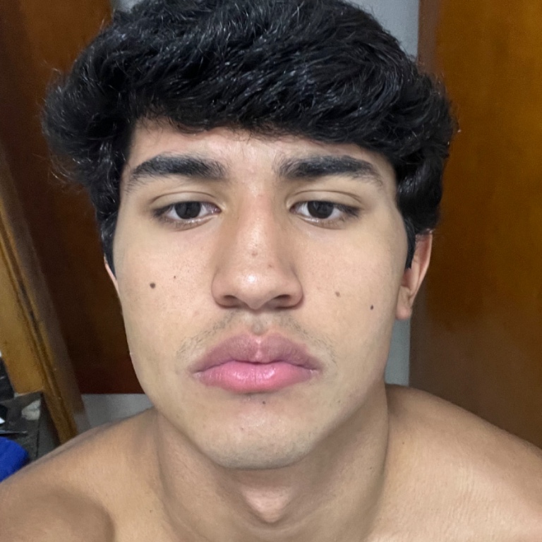 Alexandre Akira Baldin Silva