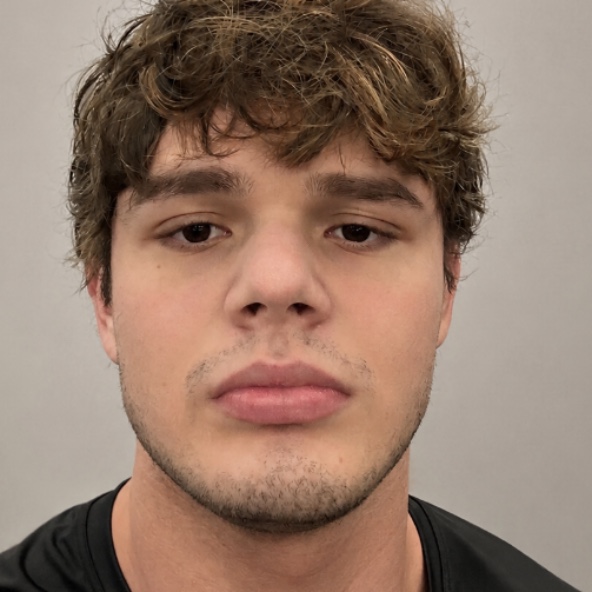 Luiz Henrique Goncalves Arantes