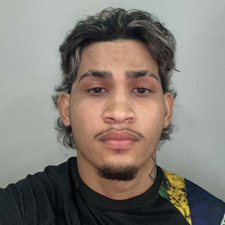 Felipe Ribeiro Vieira 