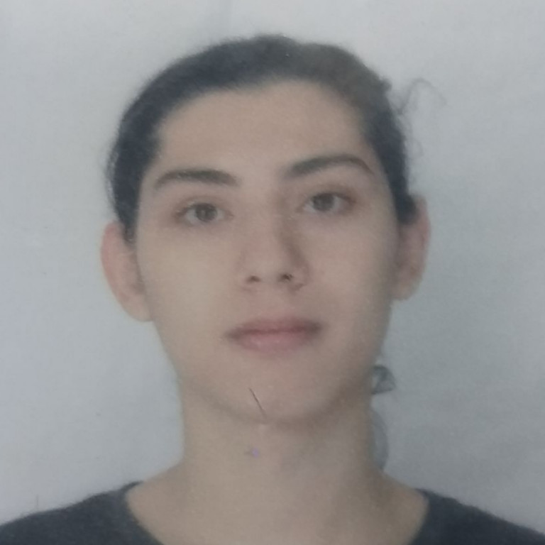 Thiago De Oliveira Guelfi
