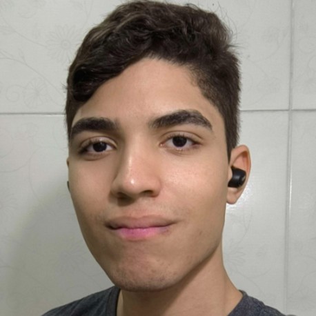 Pedro Henrique Borges De Oliveira