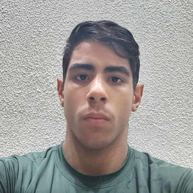 Charles Daniel Punhagui Lopes 