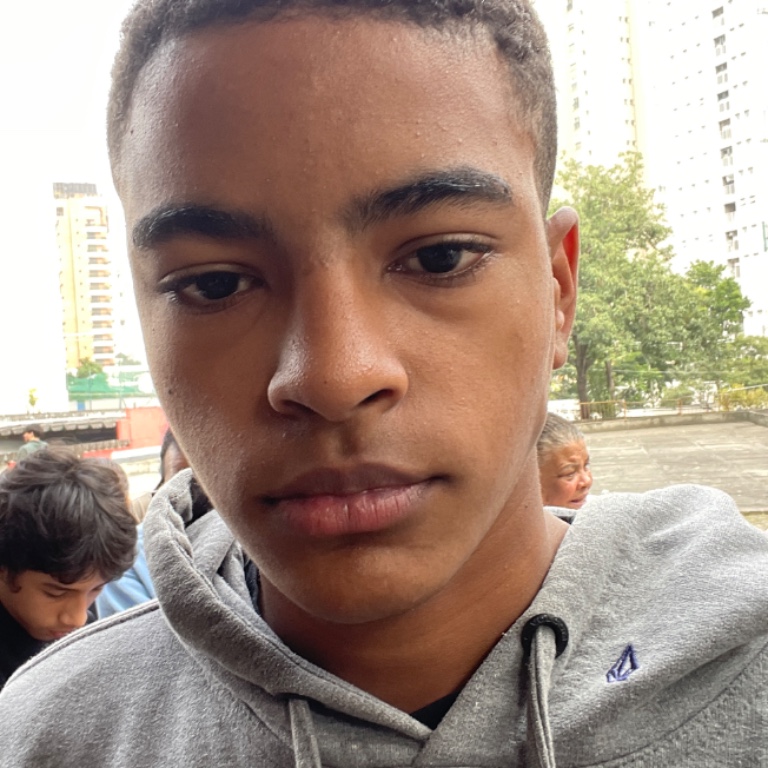 Davi Da Silva Vieira Lobo