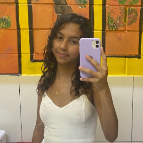 Ana Laura Gomes Da Silva 