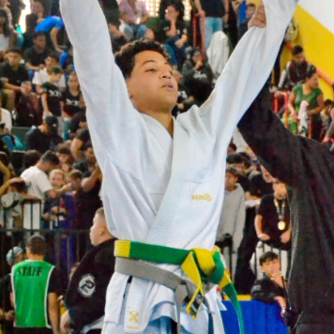 Vinicius Siqueira De Araújo 
