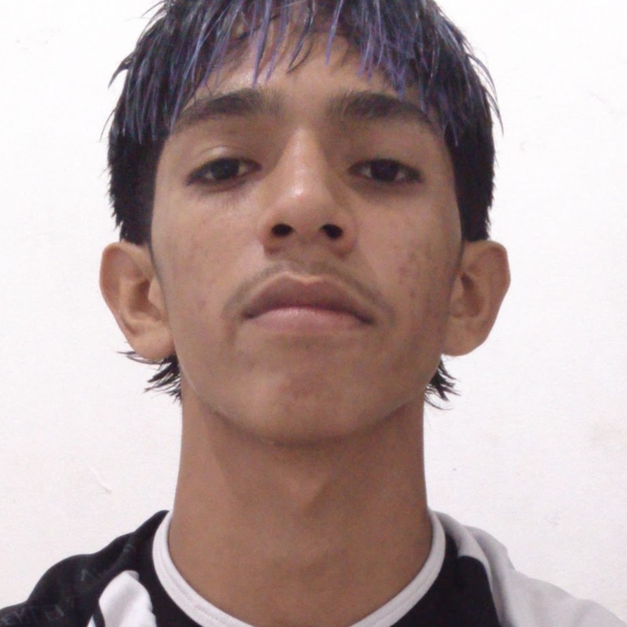 Gabriel Da Silva Pontes 