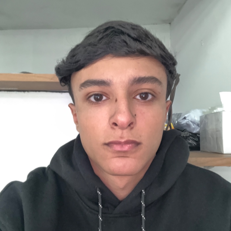 Gustavo Borges Araujo