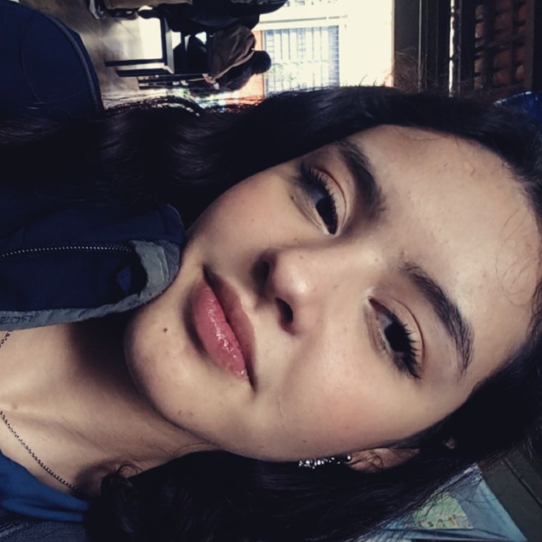 Emilly Santos Da Silva 