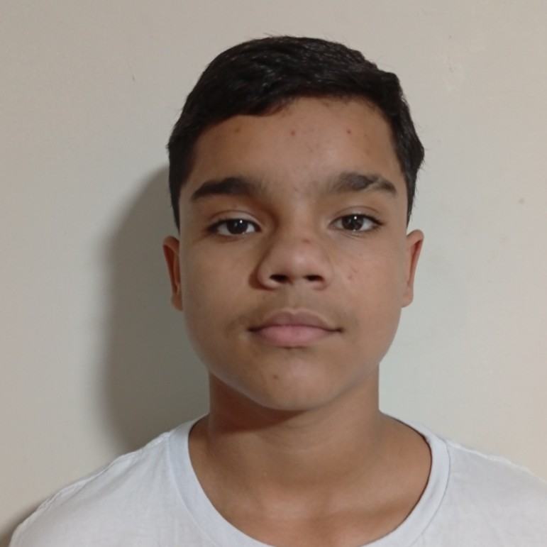 Henry Silva De Brito 