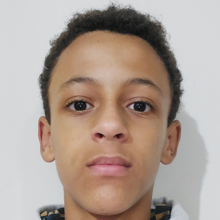 Arthur Volpato Ferreira 