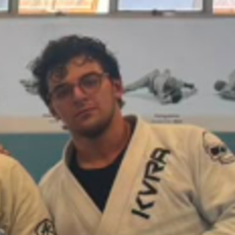 Henrique Bortolai Borba De Souza
