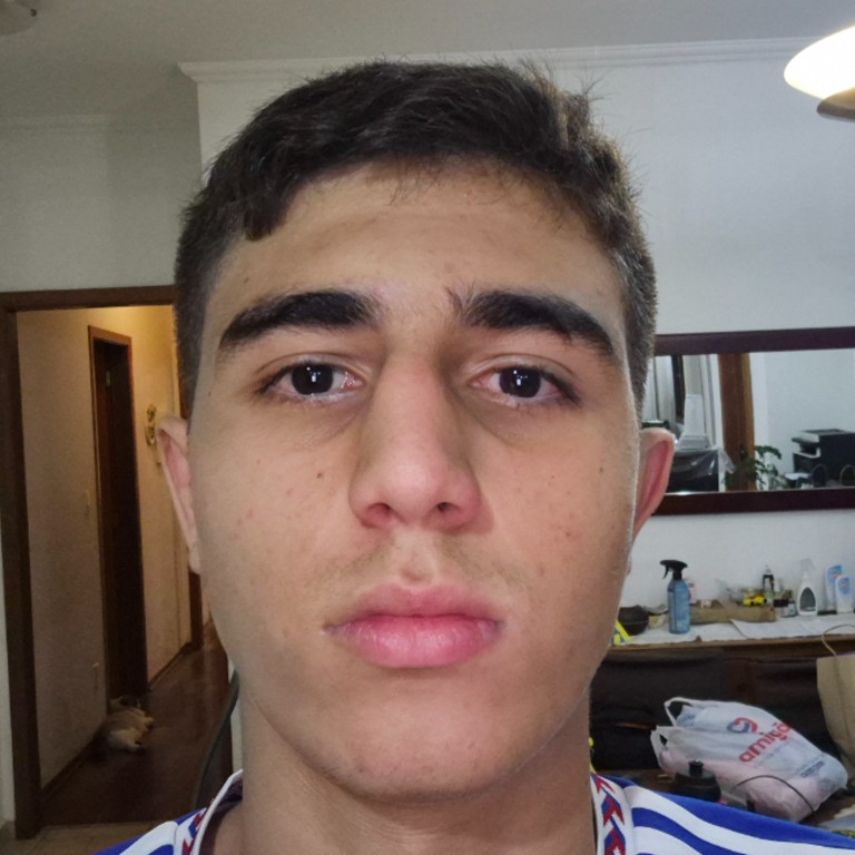 João Vitor Hirata Serizawa 
