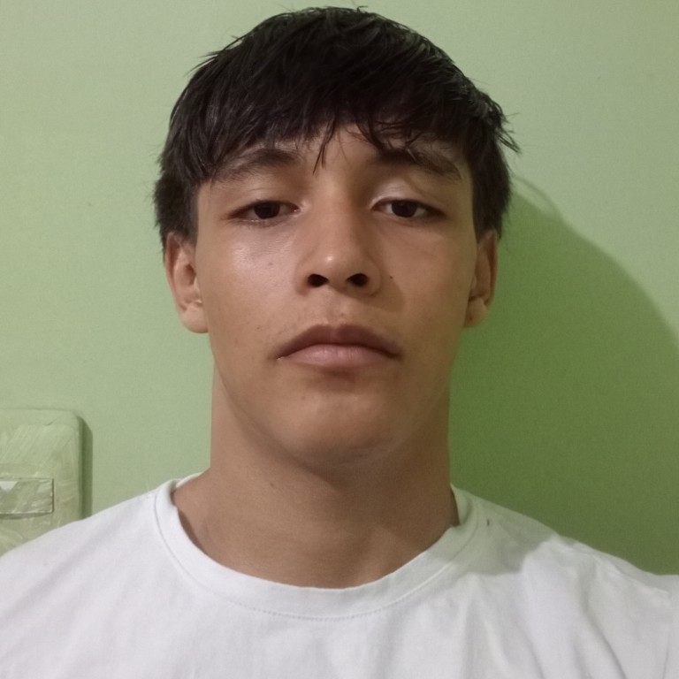 Matheus Henrick Galvão Silva 
