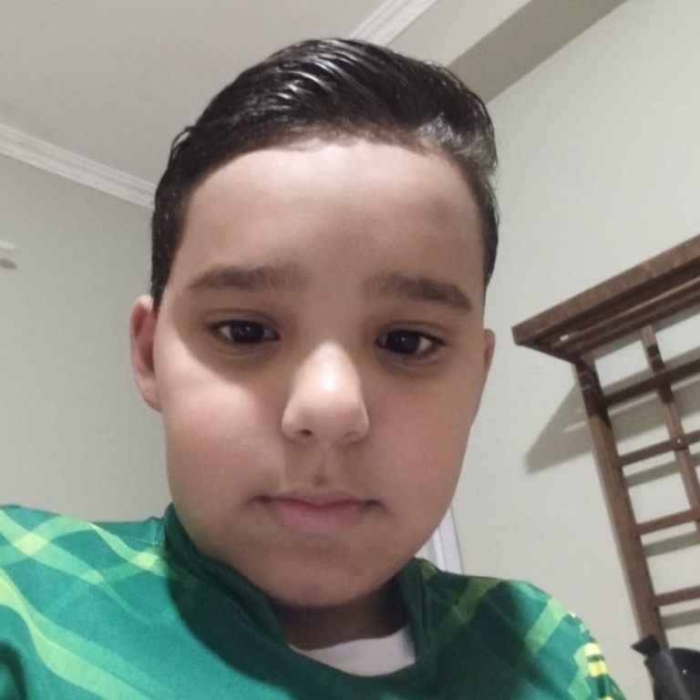 Enzo Gonçalves De Jesus 