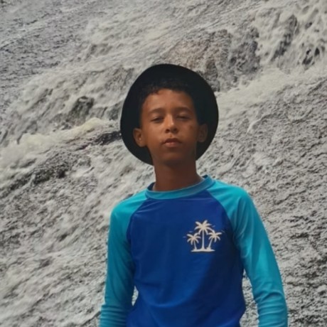 Luiz Guilherme Da Silva Souza 