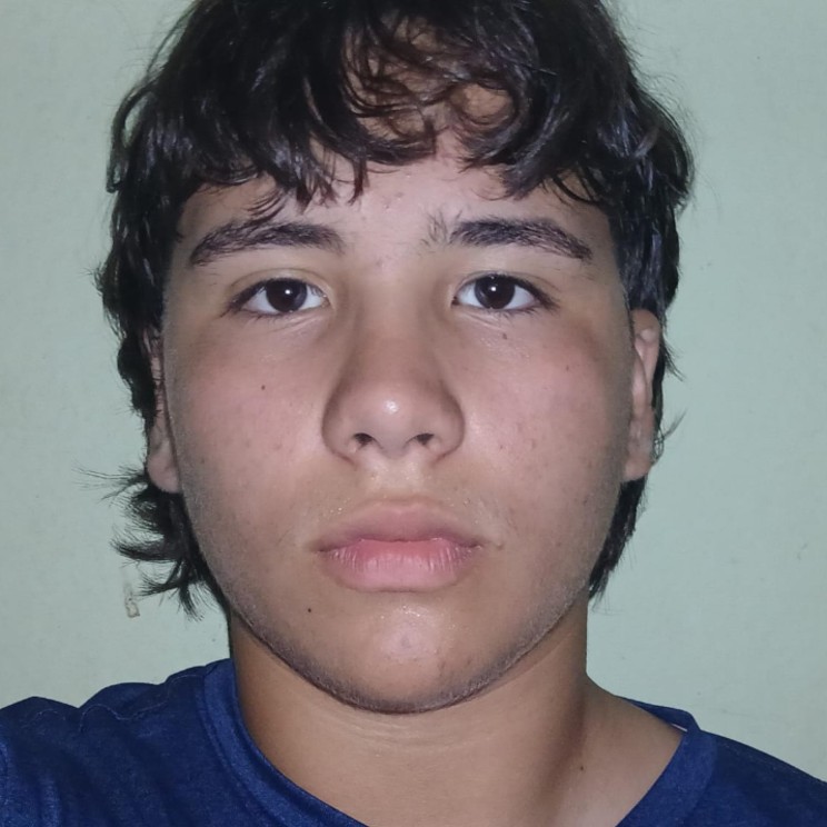 Manoel Vitor Silva Fontes