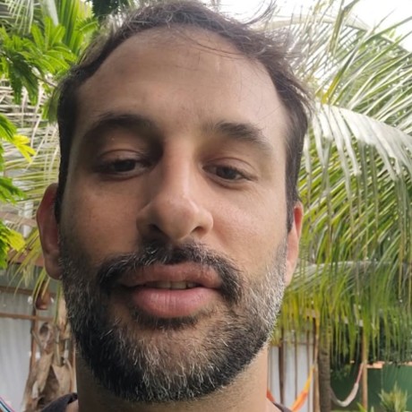 Vinícius De Araújo Klier