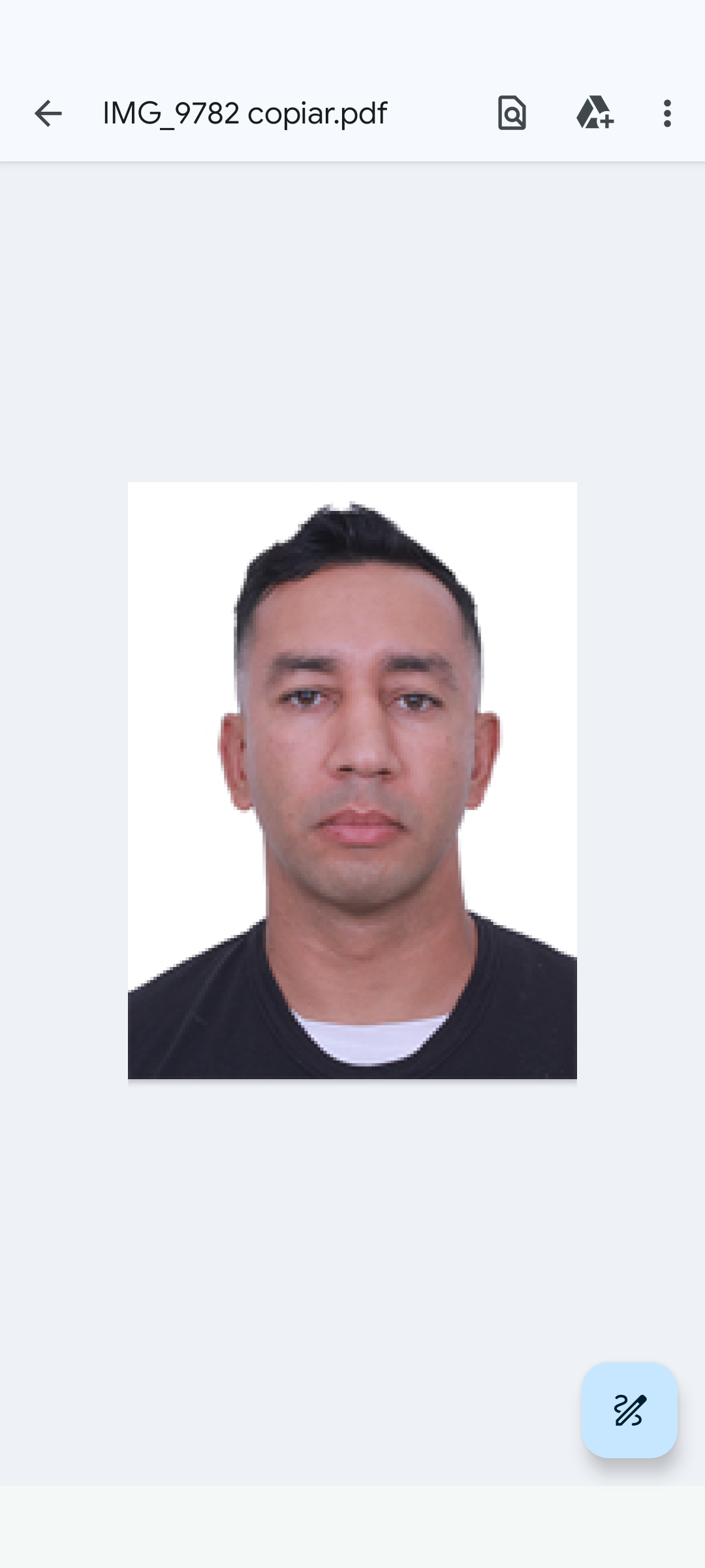 Pedro Luiz Da Silva Ribeiro 