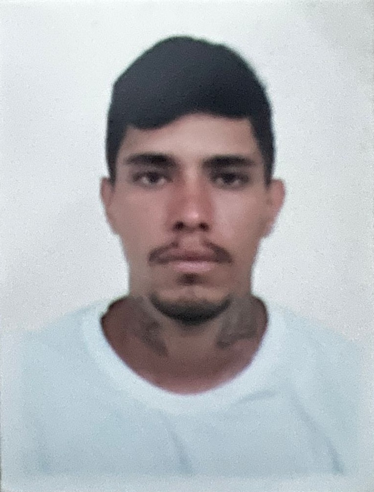Ricardo Nogueira Malafatti De Barros 