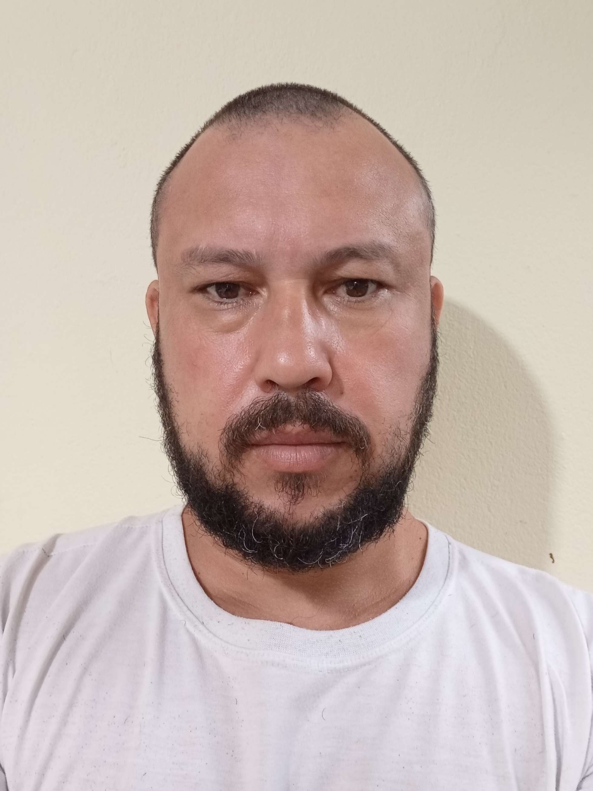 Luis Fernando Da Silva 