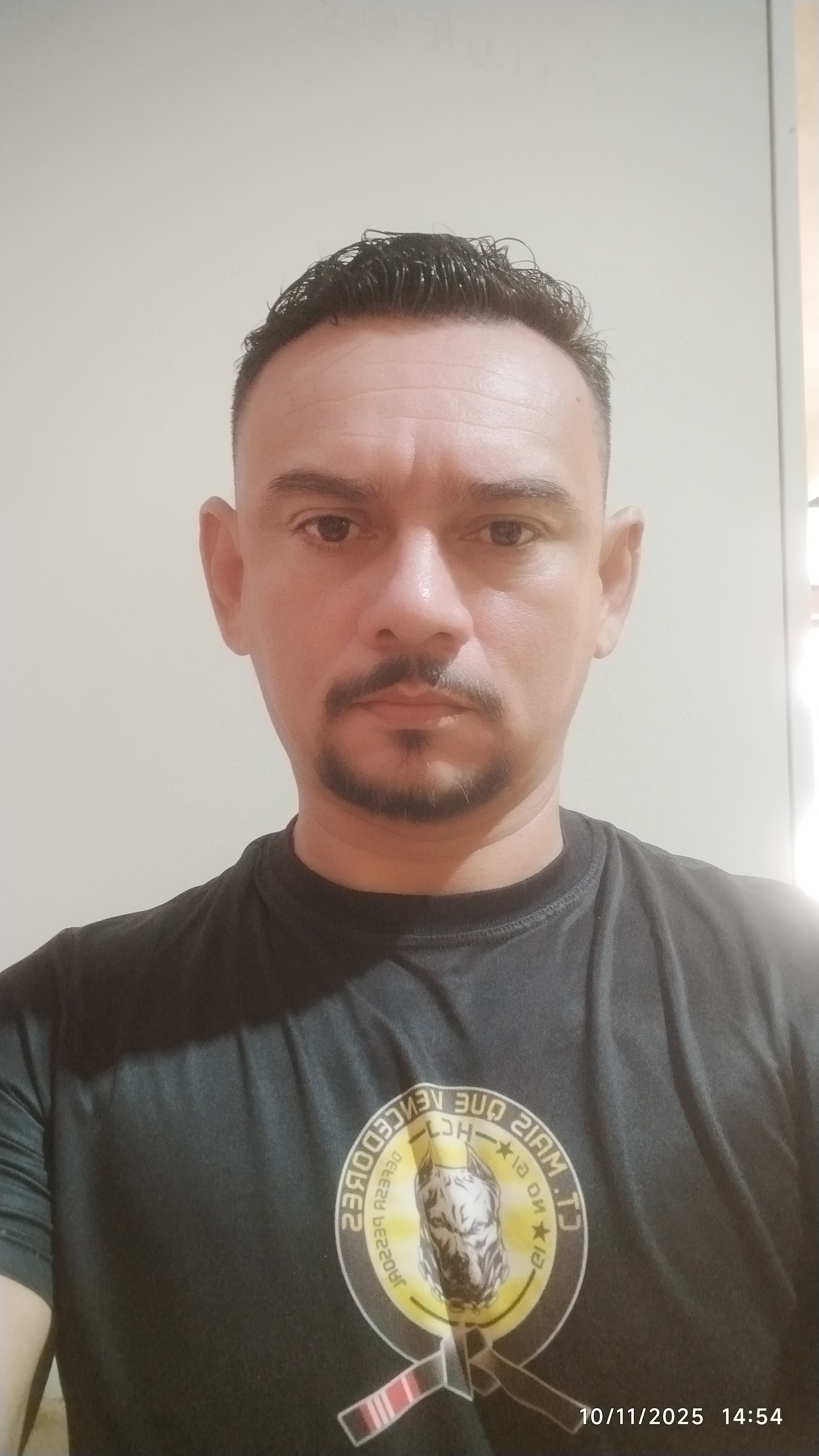 Henrique Da Luz Vieira Santos 